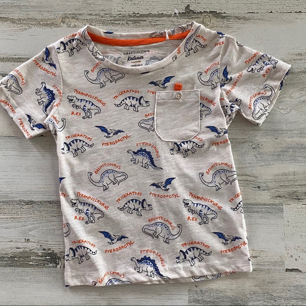 Craft + Flow Toddler Dinosaur T-shirt 3T